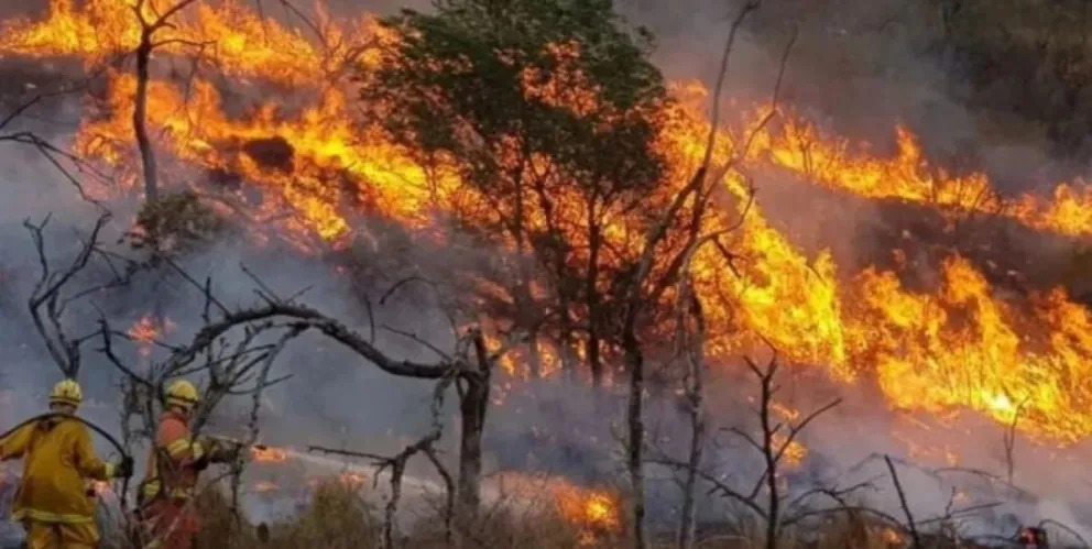 Fondos bajo llave mientras el bosque arde: la millonaria retención de Ignacio Torres en Chubut