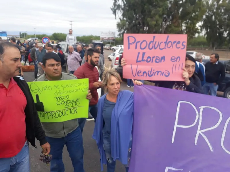 El campo mendocino en pie de lucha: Caravanazo y 