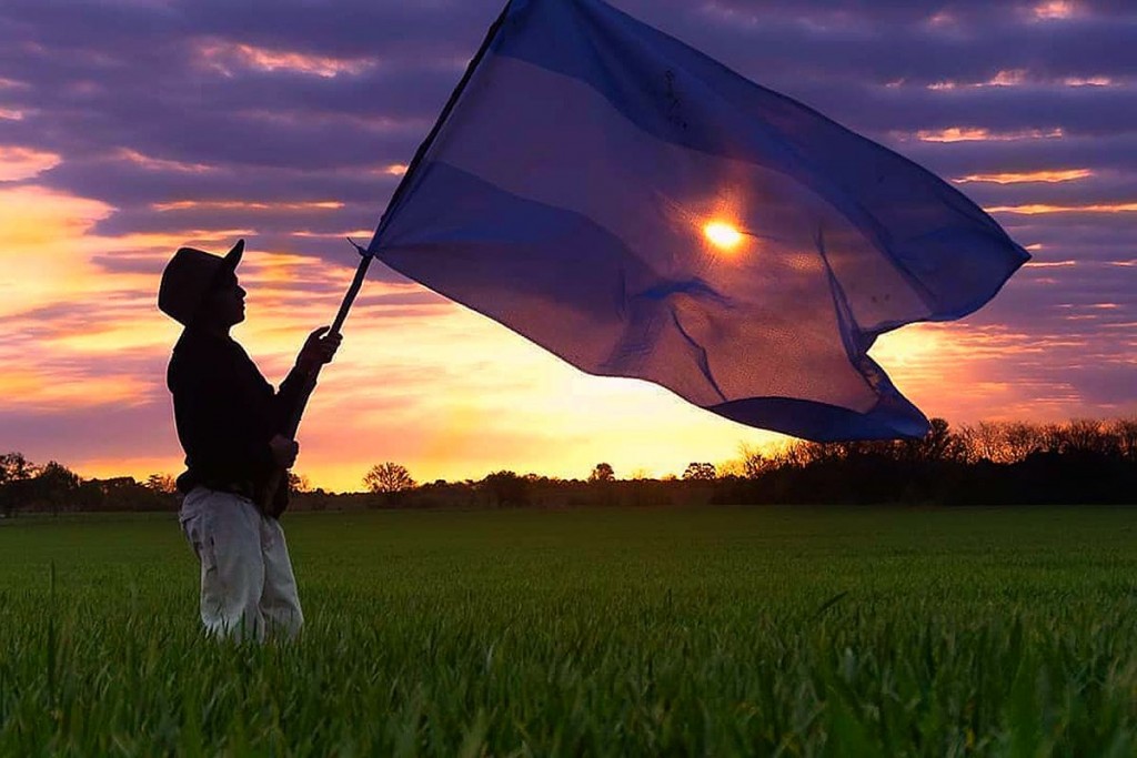 Alerta soberanía: 13 millones de hectáreas ya tienen dueños extranjeros, qué hay detrás de la derogación de la ley de Tierras