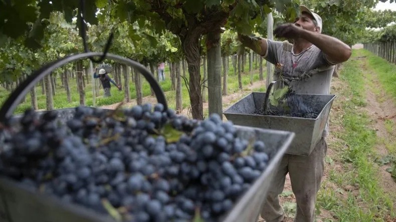Postales del desguace: cuando el 