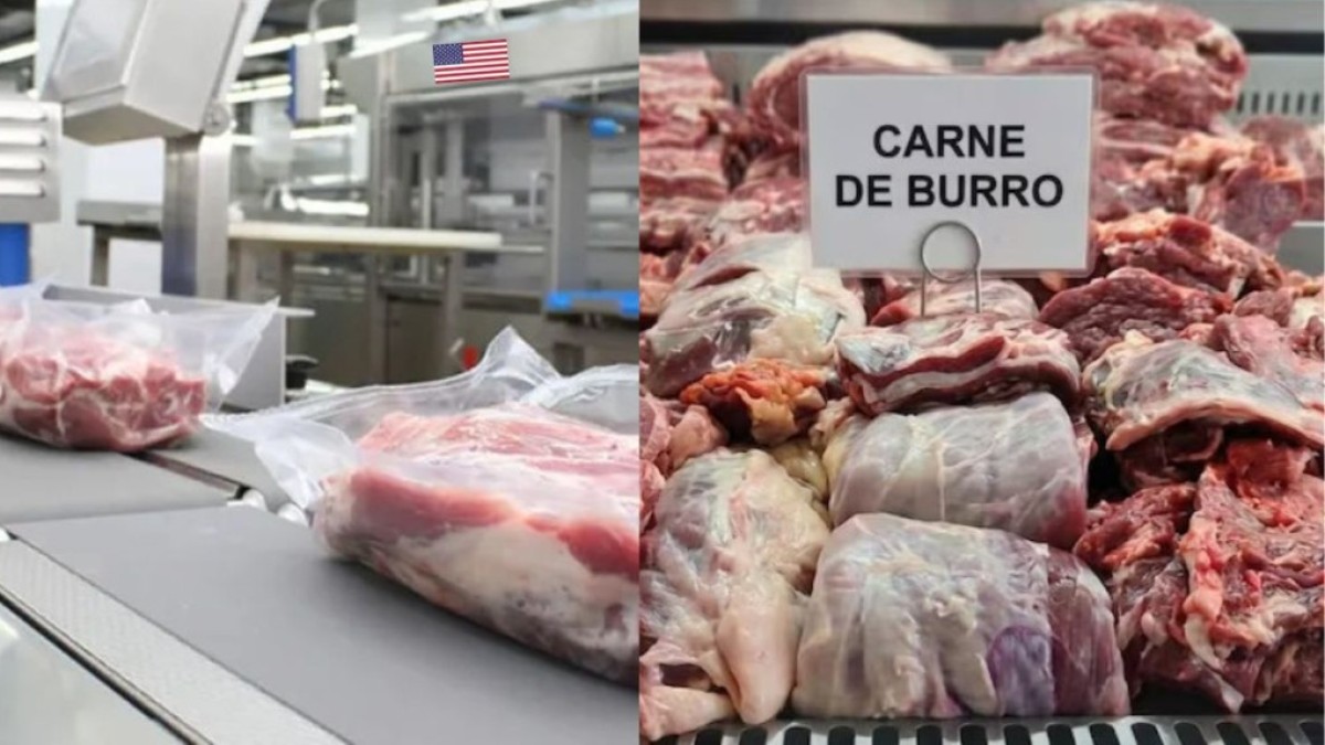 Carne premium barata para EE.UU. y de burro para Argentina: el resultado del primer trimestre del acuerdo comercial con Trump