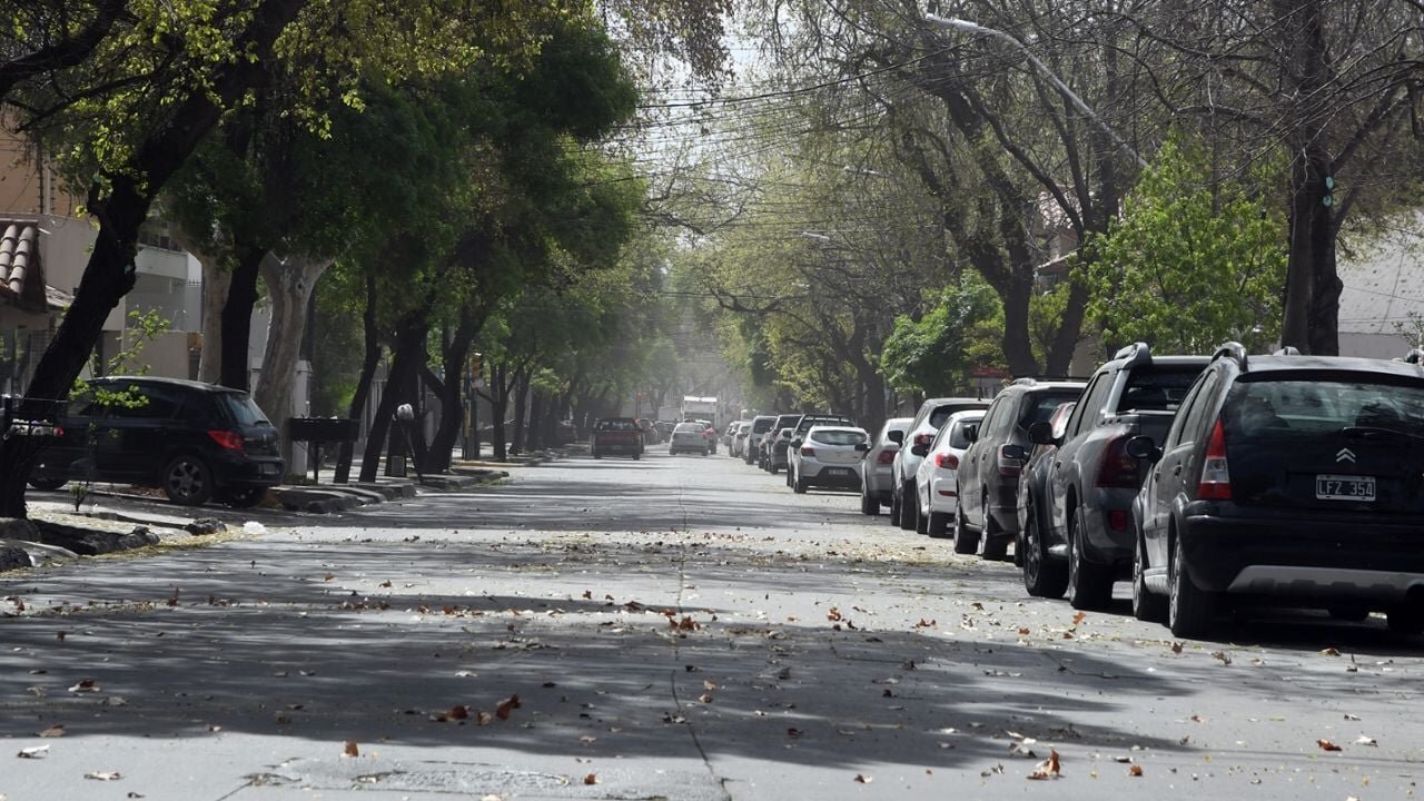 Vientos con efecto zonda, la alerta emitida por el servicio meteorológico nacional para Mendoza 