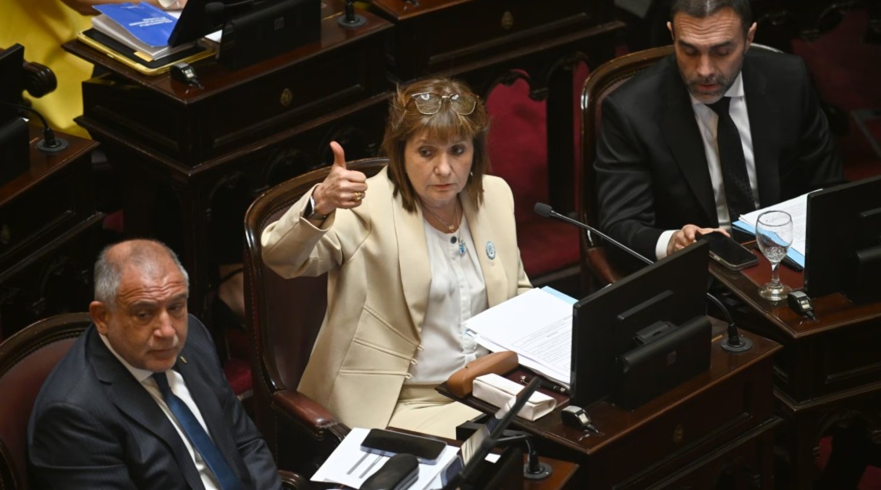 La casta cobra casi $12 millones: mientras las paritarias pierden, el Senado vuelve a aumentar sus dietas