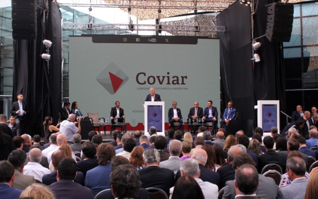 El plan de Sturzenegger para la vitivinicultura: el fin de la COVIAR y la reforma de la Ley de Vinos en la mira