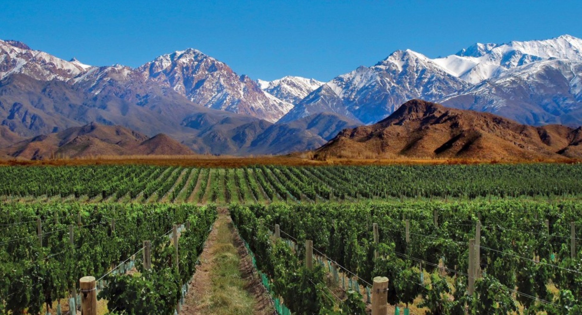 Fin de semana con poco cambio de temperatura en Mendoza