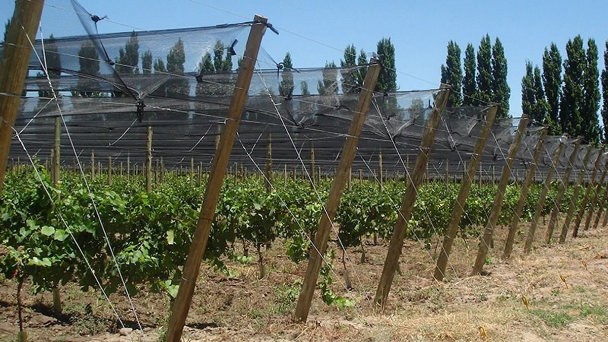 El Gobierno de Mendoza Presenta Nuevo Seguro Agrícola y Reafirma la Lucha Antigranizo en el Sur