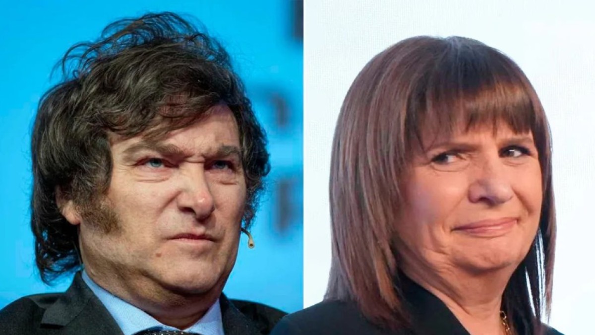 Bullrich raspa y se despega de Milei: &ldquo;Hay que acelerar los resultados&rdquo;