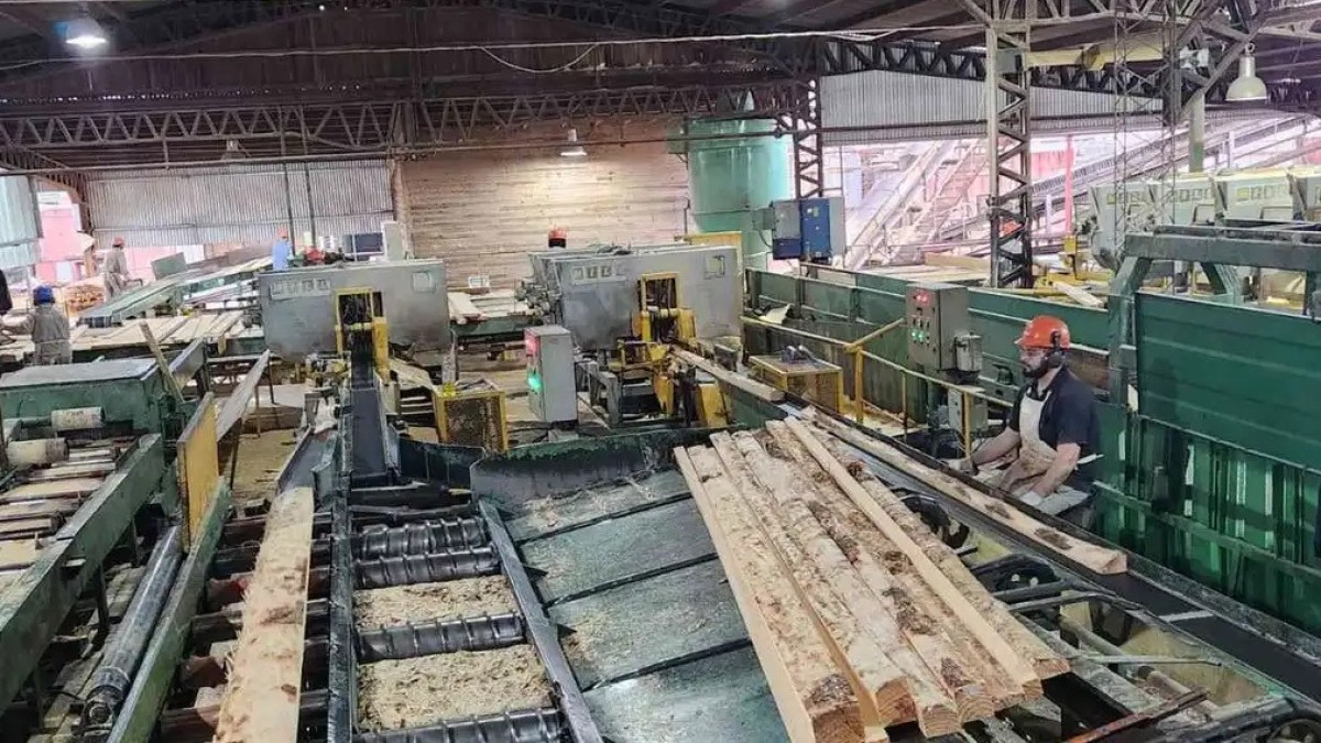 Industria en retroceso: menos producci&oacute;n, menos empleo y m&aacute;s importaciones durante el gobierno de Milei